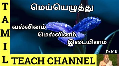 tamil vallinam mellinam idaiyinam|மெல்லினம்